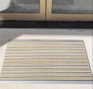 Dust-Removing And Mud-Scraping Floor Mats For Shop Entrances And Non-Slip Floor Mats