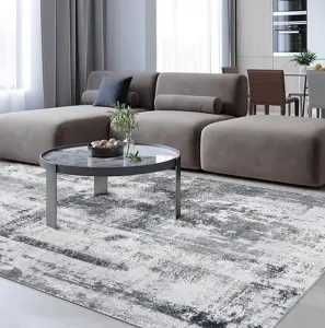 CF Manufacturer silkg straight Luxury style Chenille indoor Area Regional rugs for Custom Print Persian Area carpets washable