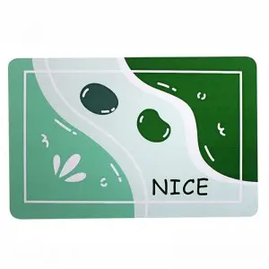 Absorbent, non-slip and environmentally friendly diatom mud mat
