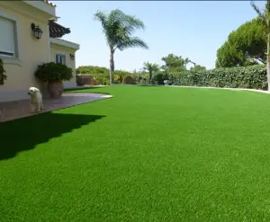 Cheap 30mm 40mm 50mm household landscape leisure artificial grass grass for backyard sitting area