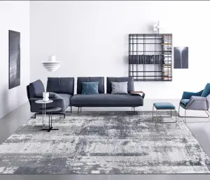 CF Manufacturer silkg straight Luxury style Chenille indoor Area Regional rugs for Custom Print Persian Area carpets washable