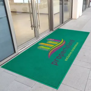 ALLEVI Entryways Rectangle Non Slip Doormat Coil Indoor Outdoor Kitchen Floor Rug Welcome Door Mat